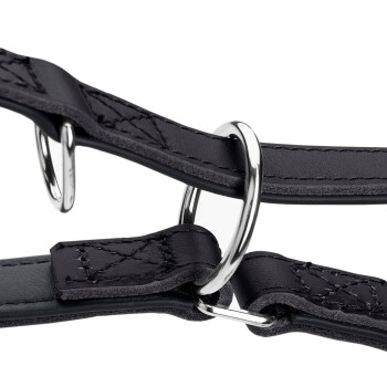 Nahaufnahme eines schwarzen Leder-Haustiergeschirrs mit silbernen Metallringen und detaillierter Naht.