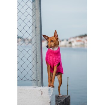 Ein stilvoller Hund in einem leuchtend pinken gestrickten Pullover steht auf einer Steinplatte am Wasser, mit einem Maschendrahtzaun im Hintergrund.