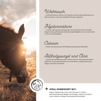 Silhouette eines Pferdekopfes bei Sonnenuntergang, mit Text über die Gelenkgesundheitsvorteile von Weihrauch, Hyaluronsäure, Calcium, Süßholzwurzel und Anis.