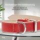 gefüttertes Halsband aus Leder XXL