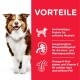 Ein Hund auf rotem Hintergrund listet Vorteile auf: hochwertiges Protein, ausgewogene Mineralien für die Herzgesundheit und Omega-6 für Haut und Fell.