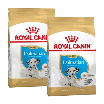 Zwei Beutel Royal Canin Dalmatiner Welpenfutter, mit einem Dalmatiner-Welpen auf der Vorderseite, gekennzeichnet für Welpen bis zu 15 Monaten.