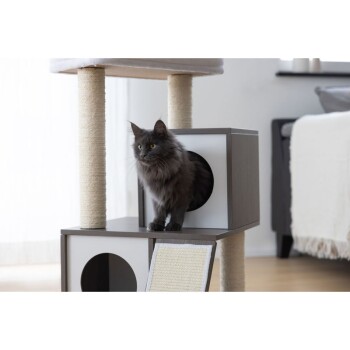 Eine flauschige graue Katze mit gelben Augen sitzt auf einem modernen Kratzbaum mit einem Kratzpfosten und einem würfelförmigen Versteck.