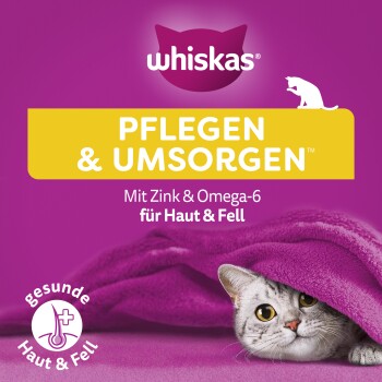 Whiskas Katzenpflegeproduktverpackung mit einer grauen Katze, die unter einer lila Decke hervorschaut, mit Text, der die Vorteile für Haut und Fell hervorhebt.