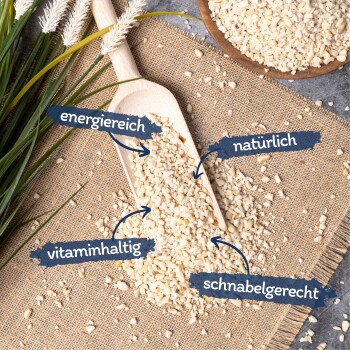 Erdnusskerne weiß gehackt 25 kg