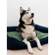 Otto Orthopädisches Hundebett Dunkelblau S-XL grün L