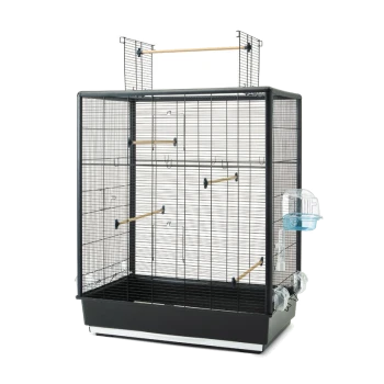 Großer schwarzer Vogelkäfig mit Holzstangen, einer abnehmbaren Bodenschublade und einem klaren Futter- und Wasserspender.