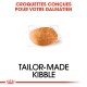 Image d'un morceau de croquette avec le texte 'CROQUETTES CONÇUES POUR VOTRE DALMATIEN' et 'TAILOR-MADE KIBBLE' affiché en évidence.