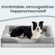 Schwarz-weißer Border Collie auf grauem Bett mit Rand; sichtbarer Text: „Komfortabler, atmungsaktiver Noppenschaumstoff.“