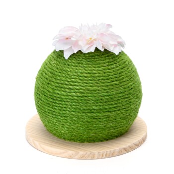 - Kaktus Kratzball - Kratzbaum