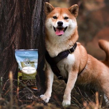 Ein glücklicher Shiba Inu steht neben einer Tüte "Wildbach-Happen" Hundeleckerlis, mit einem blau-weißen Design, vor einem Baumhintergrund.
