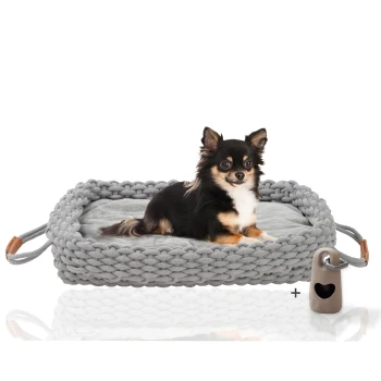 ® Flauschiges Tierbett inkl. Gratis-Beigabe, Körbchen in Flechtoptik S Ein kleiner schwarz-brauner Chihuahua liegt bequem auf einem weichen, grauen gewebten Haustierbett mit Griffen, begleitet von einem beigen Spielzeug.