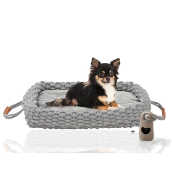 Ein kleiner schwarz-brauner Chihuahua liegt bequem auf einem weichen, grauen gewebten Haustierbett mit Griffen, begleitet von einem beigen Spielzeug.