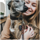 Eine Nahaufnahme eines gestromten Hundes, der ein braunes Lederhalsband und eine Leine trägt, gehalten von einer Person mit langen Haaren.