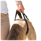 Person hält ein schwarzes Geschirr an einem großen gestromten Hund, Nahaufnahme von Hand und Hunderrücken, heller Hintergrund.