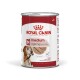 Medium Ageing Mousse 12 x 410 g