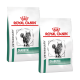Zwei Tüten Royal Canin Veterinary Diet Diabetiker-Katzenfutter, mit einer Katzenillustration und dem Text "VETERINARY DIABETIC."