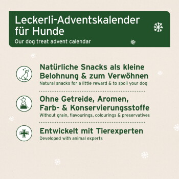 Ein festliches Bild mit einem verspielten Hund in einem grünen Pullover, umgeben von Feiertagsdekorationen, mit Text, der Haustiersnacks und Wohnkultur bewirbt.