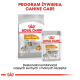 Opakowanie karmy dla psów Royal Canin Coat Care, zawierające suchą karmę dla małych psów i mokrą karmę dla wszystkich rozmiarów, promujące zdrową, lśniącą sierść.