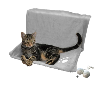 Eine entspannte getigerte Katze, die auf einem weichen grauen Haustierbett mit Pfotenabdrücken liegt, begleitet von zwei Wollknäueln.