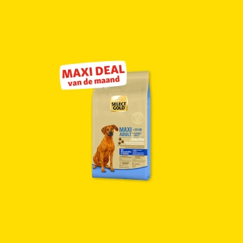 Select Gold Maxi Adult Sensitive hondenvoerzak voor honden boven 25 kg met een afbeelding van een bruine hond en de tekst "MAXI DEAL van de maand".