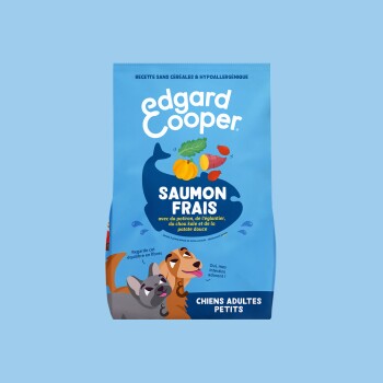 Sac de nourriture Edgard & Cooper bleu étiqueté « SAUMON FRAIS » et « CHIENS ADULTES PETITS » avec poisson, citrouille et deux chiens dessinés.