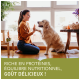 Une femme en pull confortable s'agenouille près d'une fenêtre, jouant avec un golden retriever. Texte : "RICHE EN PROTÉINES, ÉQUILIBRE NUTRITIONNEL, GOÛT DÉLICIEUX !"