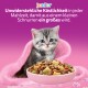 Graugestreiftes Kätzchen in rosa Decke neben einer rosa Schale mit Trockenfutter; sichtbarer Text 'Junior' und deutsche Überschrift.