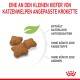 Sternförmige Kroketten für Katzenwelpen, mit Text: "Enthält natürliche Antioxidantien, ohne künstliche Farbstoffe und Aromen."