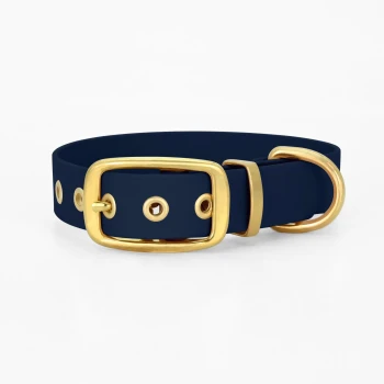 Navyblaue Haustierhalsband mit einer goldenen Schnalle und Hardware, mit Löchern zur Anpassung und einem D-Ring zur Leinenbefestigung.