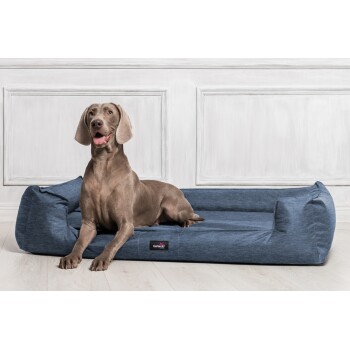 Ein schlanker, grauer Hund liegt auf einem blauen Haustierbett mit einem schwarzen Etikett mit der Aufschrift "tierlando," vor einem hellen Holzboden und einer weißen Wand.