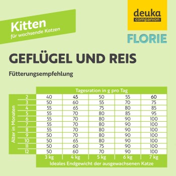 Fütterungsleitfaden für Kätzchen für 'Geflügel und Reis' von deuka companion, der die täglichen Futtermengen basierend auf dem Alter des Kätzchens in Monaten detailliert.