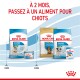 Image des produits alimentaires pour chiens Royal Canin, présentant les formules "Starter" et "Puppy" avec une note en français sur la transition vers la nourriture pour chiots à 2 mois.