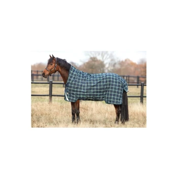 Ein braunes Pferd, das eine grün-navy karierte Decke trägt, steht auf einer grasbewachsenen Fläche, mit einem Holzzaun und Bäumen im Hintergrund.