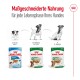 Royal Canin Hundefutterpakete für verschiedene Lebensphasen: Welpe (2-10 Monate), Mini Erwachsener (10 Monate bis 8 Jahre) und Mini Alterung (8 Jahre und älter).