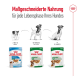 Royal Canin Hundefutterpakete für verschiedene Lebensphasen: Welpe (2-10 Monate), Mini Erwachsener (10 Monate bis 8 Jahre) und Mini Alterung (8 Jahre und älter).