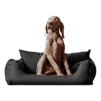 Tierlando NEMO Hundebett Hundesofa S M L Hundekorb Katzenbett 65 80 100cm schwarz/ graphit 1 m, 25 cm, 80 cm