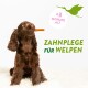 Ein brauner Welpe hält einen Zahnpflege-Kauknochen im Mund, mit dem Text "ZAHNPLEGE FÜR WELPEN" und " +3 MONATE ALT".