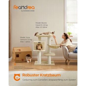 Gemütliches Wohnzimmer mit einem Katzenbaum, zwei Katzen und einer Frau, die interagiert. Der Text zeigt Details zu den Katzen Boone und Juice.