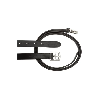 Schwarze Leder-Hundeleine mit einer silbernen Schnalle, mit mehreren Einstelllöchern zur Größenanpassung.