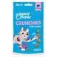 Blue Edgard Cooper CRUNCHIES cat treats pouch, salmon flavor, playful cat illustration, labeled with catnip and fresh salmon