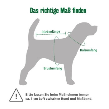 Hundesilhouette mit beschrifteten Maßen: Rückenlänge, Halsumfang, Brustumfang, plus eine Notiz, um beim Messen 1 cm Luft zu lassen.