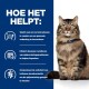 Een fluffy bruine tabby kat zit rechtop, kijkt naar de camera, met Nederlandse tekst aan de linkerkant over de voordelen voor de darmgezondheid.