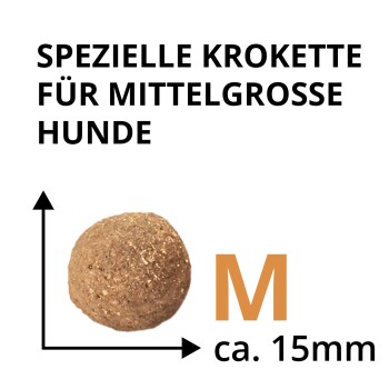 Runde braune Krokettenkugel (ca. 15 mm) mit sichtbarem Text ‚SPEZIELLE KROKETTE FÜR MITTELGROSSE HUNDE‘ und ‚M ca. 15 mm‘.