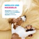 Schlafender braun-weißer Hund, der ein Plüschäffchen auf gelbem Bettzeug umarmt; deutscher Text 'NIEDLICH UND KNUDDELIG'.