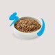 A white bowl filled with brown pet food kibble, set against a light background with blue brushstroke accents.