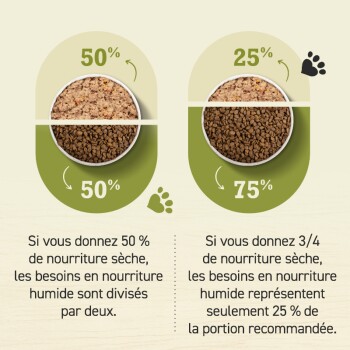 Deux bols de nourriture pour animaux de compagnie : à gauche, 50 % humide et 50 % sec ; à droite, 25 % humide et 75 % sec. Directives d'alimentation en français.