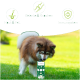 Grüne Flasche BIO Hanföl mit der Aufschrift "100% natürlich und kaltgepresst" neben einer Pappschachtel mit Haustierillustrationen.