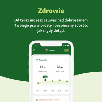 Smartfon pokazujący aplikację zdrowotną dla psów "Zdrowie" dla psa o imieniu Hanna, śledzącą jej wagę: obecnie 56 kg, idealnie 34 kg.