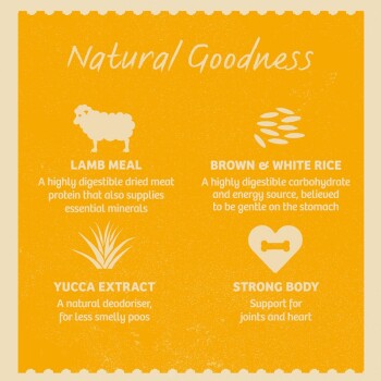 Infographic titled "Natural Goodness" highlighting four pet food ingredients: Lamb Meal, Rice, Yucca Extract, and their benefits.